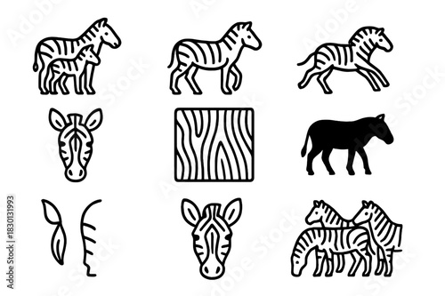 Zebra Family Icons. Zebra Family Icons. Line icon set of Zebra Family Icons: zebra with foal, standing zebra, running zebra, zebra head, zebra face close-up,
