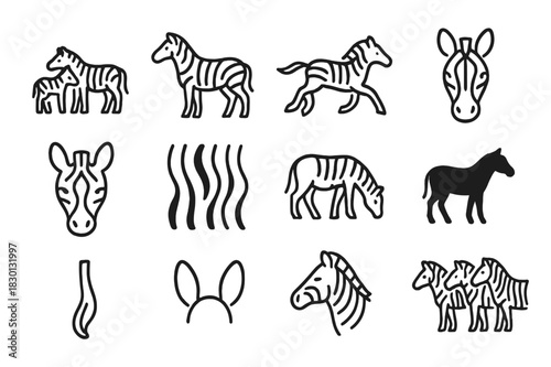 Zebra Family Icons. Zebra Family Icons. Line icon set of Zebra Family Icons: zebra with foal, standing zebra, running zebra, zebra head, zebra face close-up,