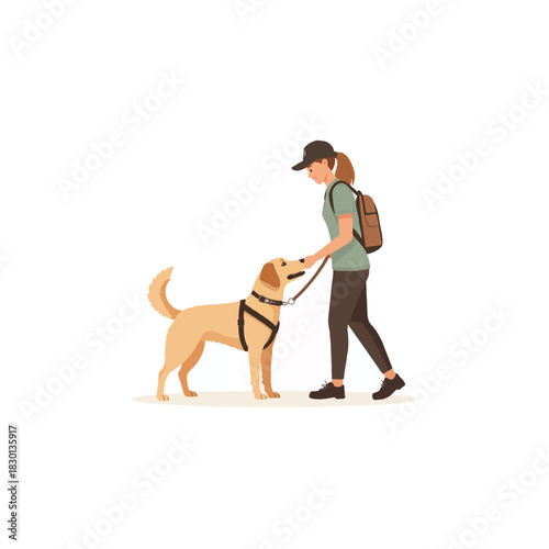 Woman guides labrador retriever dog on a stroll fostering companionship and healthy outdoor
