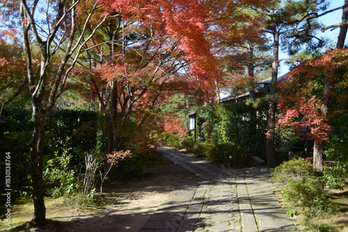 Wallpaper Mural 秋の大徳寺　正受院の境内　京都市北区紫野 Torontodigital.ca