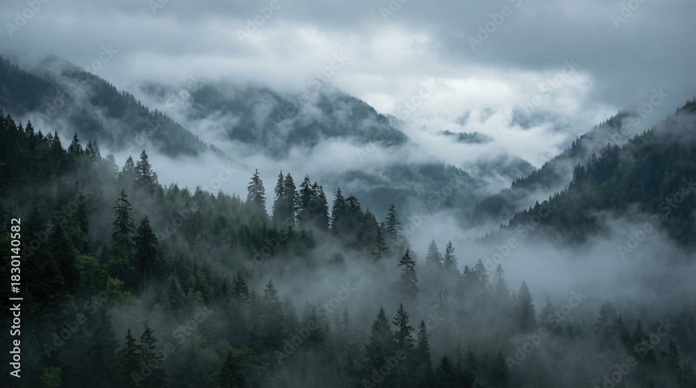 Fototapeta premium Misty mountain forest landscape with fog and dramatic cloudy sky