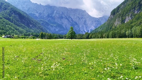 Drone Slovenia 4k. Logar Valley, one of the most beautiful alpine valleys in Europe, located in the Alps of northern Slovenia. popular summer travel tourism destination for hiking in Europe.