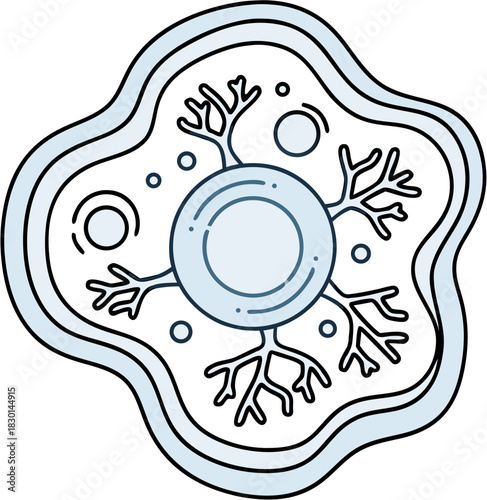 Outline icon of a dendritic cell with dendrites and nucleus