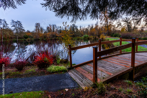 Wooden foot bridge over the stream in pond area in the park in autumn season