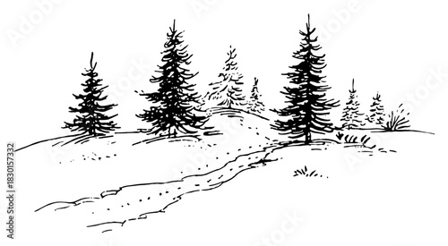 Hand drawn Winter Pine Forest Landscape with Snowy Path Black and White Doodle Vector Illustration