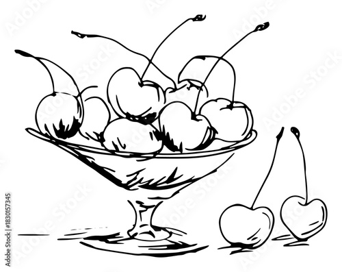 Hand Drawn Dessert Glass Filled with Ripe Cherries Vintage Vector Illustration
