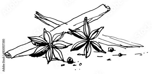 Cinnamon sticks and star anise spices composition hand drawn vector sketch of winter cooking ingredients and seasoning