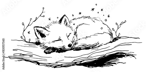 Hand drawn sleeping fox curled up in winter snow Vector sketch illustration of cute wild animal resting in nature