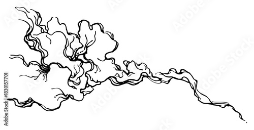 Hand Drawn Swirling Smoke Trail Abstract Line Vector Illustration