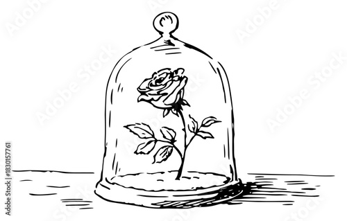 Hand drawn Single Rose in Glass Dome Black and White Doodle Vector Illustration