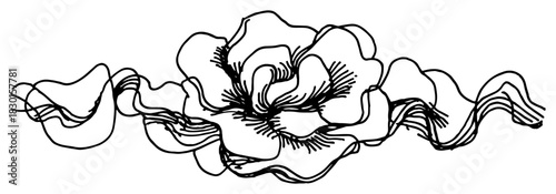 Hand Drawn Blooming Peony with Flowing Ribbon Decorative Border Vector Illustration