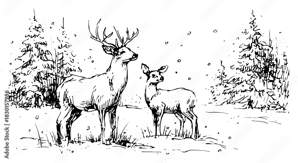 Naklejka premium Hand drawn stag and doe deer standing in snowy winter forest vector sketch of wild animals in nature