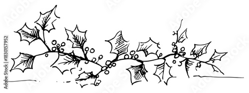 Christmas holly berry leaves border hand drawn vector sketch illustration of floral divider decoration