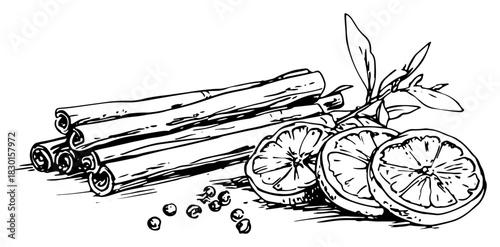 Dried orange slices and cinnamon sticks spices hand drawn vector sketch illustration of winter mulled wine ingredients