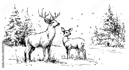 Hand drawn stag and doe deer standing in snowy winter forest vector sketch of wild animals in nature