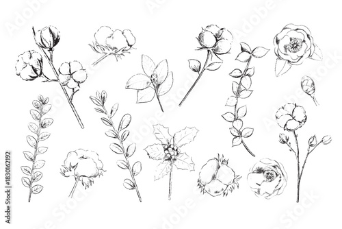 a set of winter foliage esp