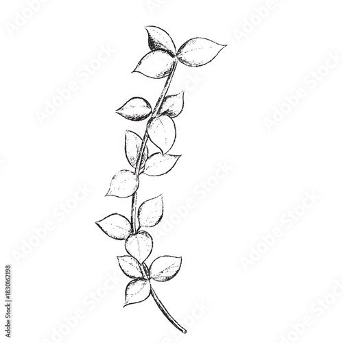 winter foliage esp - 