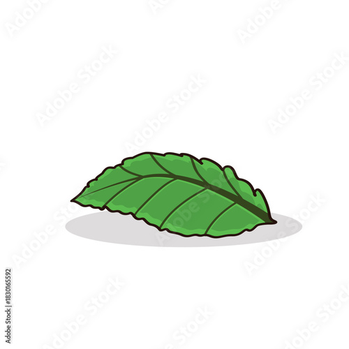 Avocado. avocado cartoon. avocado vector