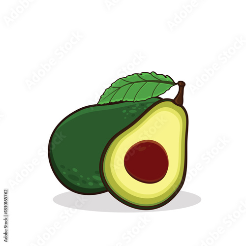 Avocado. avocado cartoon. avocado vector