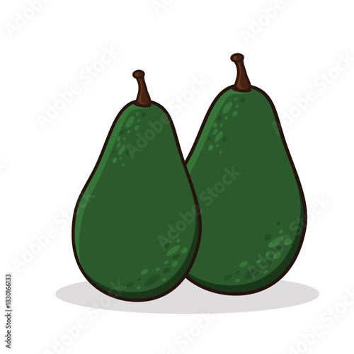 Avocado. avocado cartoon. avocado vector