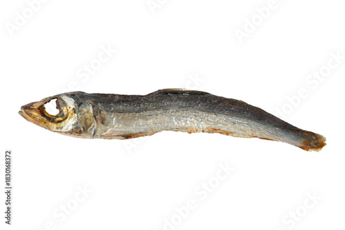 透明背景（png）に焼きうるめ（丸干し）