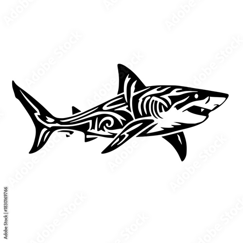 vector illustration of a shark