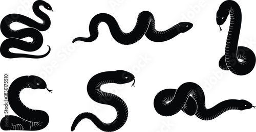 Snake silhouette vector illustration collection, venomous reptile drawing, wild animal design, dangerous serpent artwork, black and white graphic style for tattoo and decoration