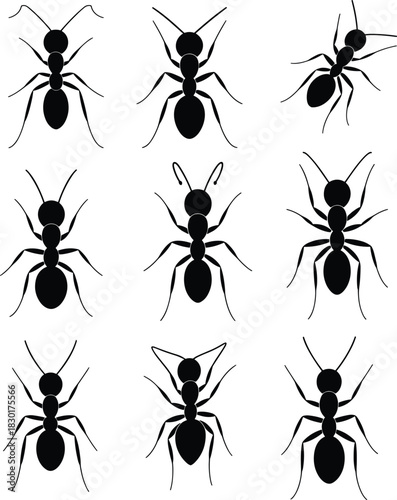 Ant silhouette vector collection, black insect icons set, pest control concept, wildlife and nature symbol illustration, detailed ant shapes for entomology design