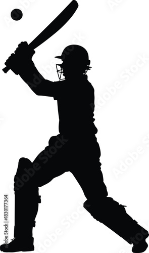 Silhouette of cricket batsman hitting ball with bat vector illustration showing professional sports action, competition, game, strength, and skill