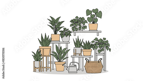 Indoor plant collection: Create a calming indoor oasis with potted greenery, inspiring a tranquil atmosphere and bringing a touch of nature indoors