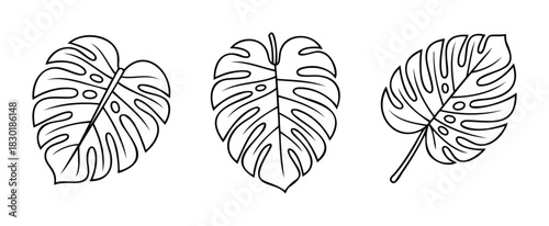 Monstera leaves line art with openings and veins, simple graphic symbols for tropical nature themes and decorative projects, great for digital and print media.