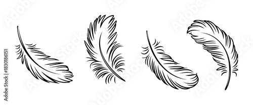 Four delicately drawn black and white feathers in varying graceful poses, perfect for adding a touch of lightness and natural elegance to graphic projects and organic themes.