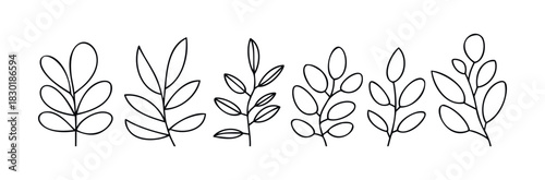 Delicate outline drawings of five different leafy branches for botanical themes and decorative use in nature inspired projects and graphic applications