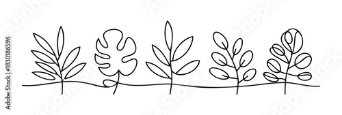 Minimalist continuous line drawings of five different plant leaf types presented in a horizontal row, perfect for modern home decor, botanical themes, or organic branding.