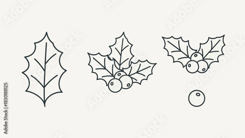 Minimalist line art depiction of holly leaves and berries, a timeless botanical holiday symbol