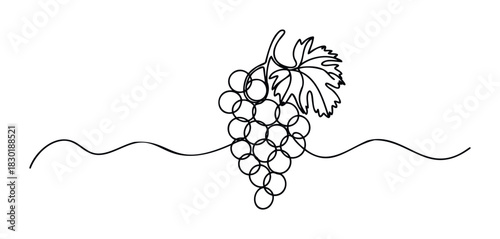 Minimalist single line drawing of a grape cluster with a leaf and wavy lines below, ideal for food and beverage branding and organic product promotions