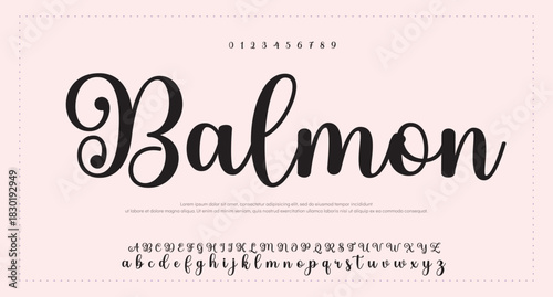 
Elegant Script Font Alphabet Typography 