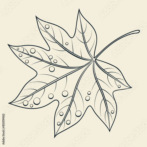 A stylized hand drawn line art illustration of a single maple leaf with dew drops or water droplets on its surface against a neutral background