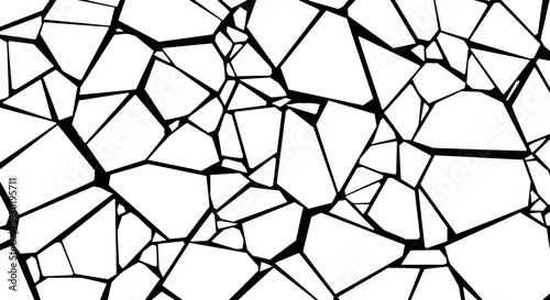 Abstract geometric black and white pattern with polygonal shapes and intersecting lines seamless