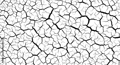 Detailed cracked earth texture with abstract and organic pattern forming a visually interesting