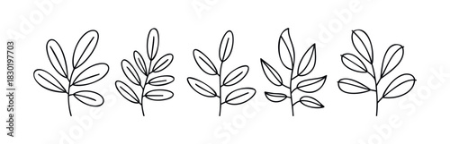 Collection of minimalist botanical line drawings featuring delicate branches with leaves, perfect for natural themes and organic branding projects.