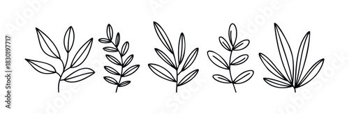 Collection of five botanical line drawings featuring delicate branches and leaves, perfect for natural themed graphic assets and decorative applications