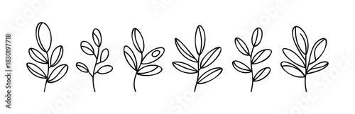 Collection of six delicate line drawings of leafy branches, perfect for botanical designs, invitations, and natural themed projects.