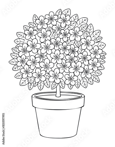 Whimsical outline drawing of a potted flowering tree with delicate blossoms and leaves, perfect for nature themes, garden, or springtime creative projects.