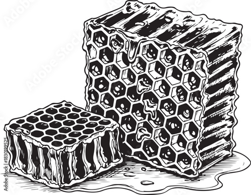 Natural honey dripping from two pieces of organic honeycomb blocks detailed monochrome woodcut vintage sketch drawing vector graphic illustration