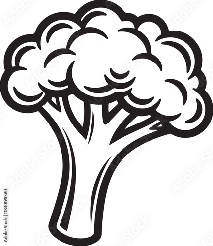 Outline simple linear drawing monochrome broccoli healthy green vegetable food stem floret inflorescence head black and white cartoon icon