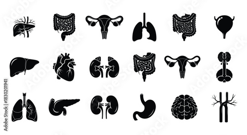 Collection of Human Organ Icons in Silhouette for Medical and Educational Use