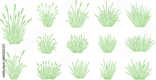 Set of green grass plant line art illustration on white background