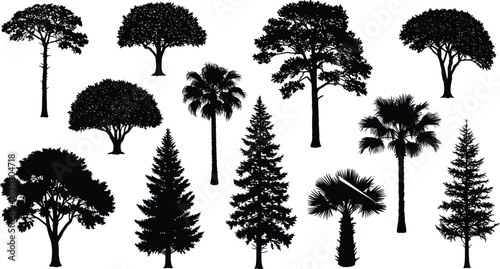 Different tree silhouettes collection, tropical and pine trees vector illustration, natural forest shape set, black tree design on white background