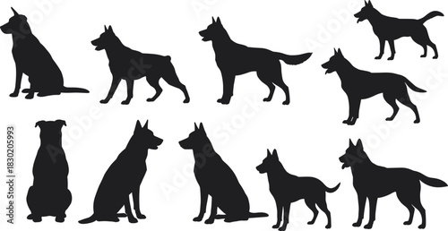 Dog silhouettes, canine poses, pet illustration, German Shepherd artwork, sitting dog, standing dog, walking dog, domestic animals, animal design, silhouette art